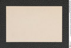 k.k. naturhistorisches Hofmuseum, Intendanzakten 1885-1896 (Hauer), Aktenzahl Z.567/1892, Seite 6